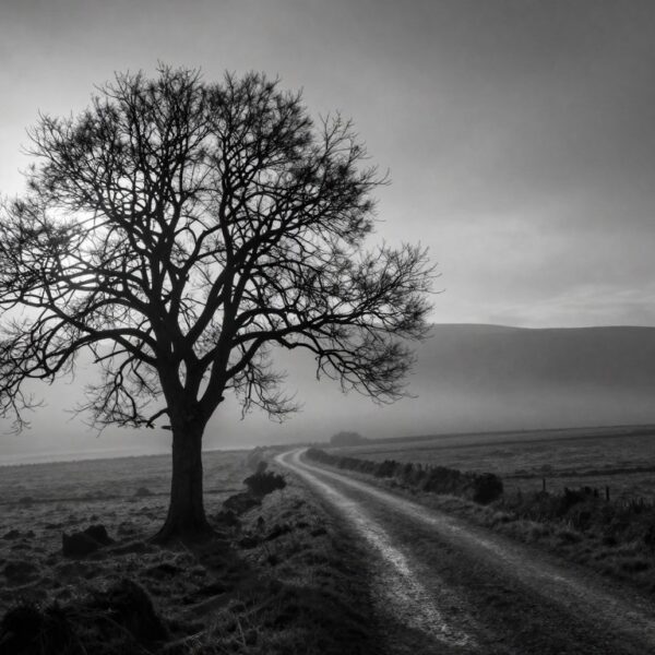 Fotografia czarno-biała – jak tworzyć klimatyczne zdjęcia bez koloru