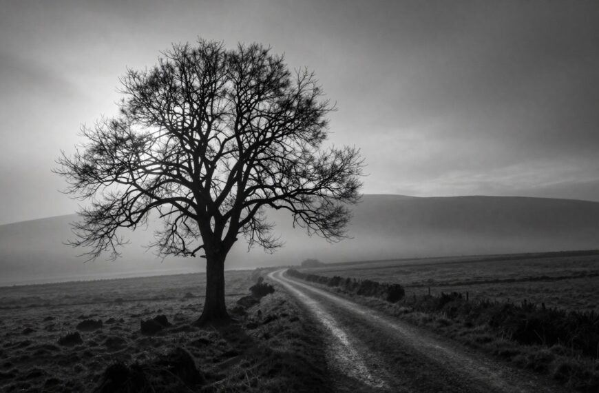 Fotografia czarno-biała